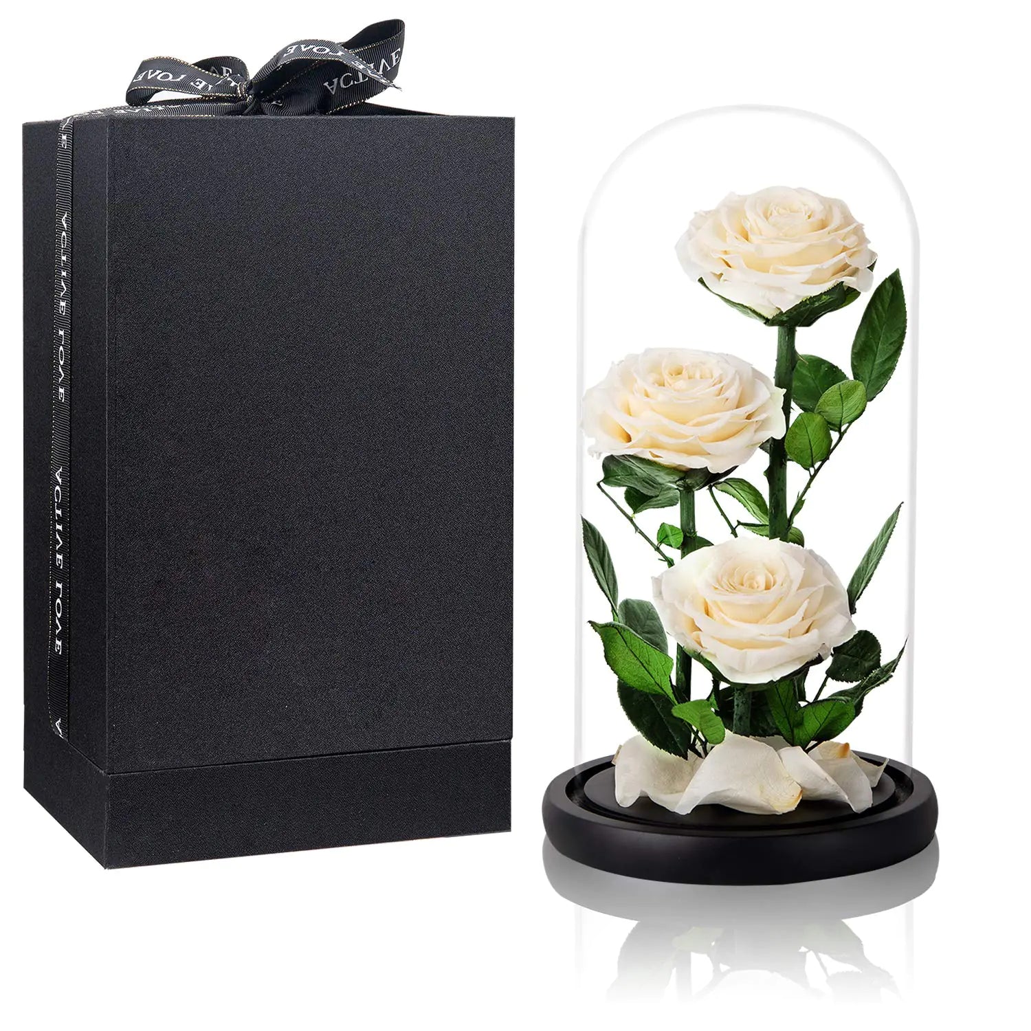 White Roses Handmade Preserved Real Rose in Glass Dome Long Lasting Roses Never Withered Gifts for Her Valentines Day Mothers Day Birthday Christmas Anniversary(13 inch)