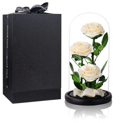 White Roses Handmade Preserved Real Rose in Glass Dome Long Lasting Roses Never Withered Gifts for Her Valentines Day Mothers Day Birthday Christmas Anniversary(13 inch)