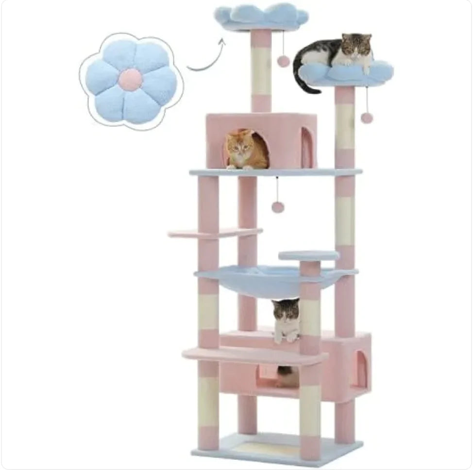 Cat Climbing Frame