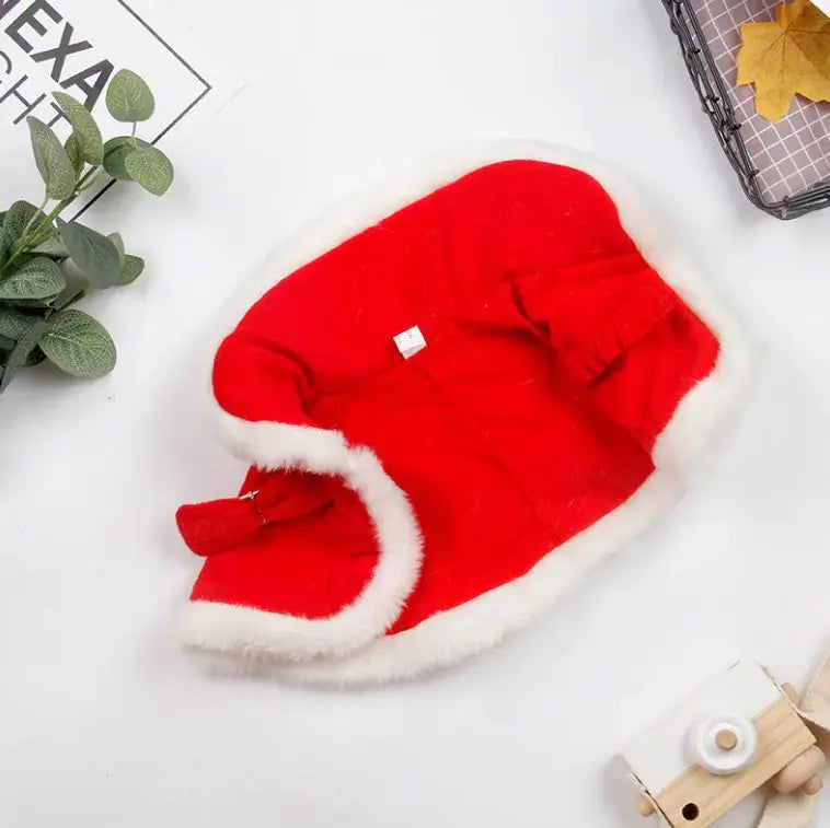 Cat red Christmas cloak