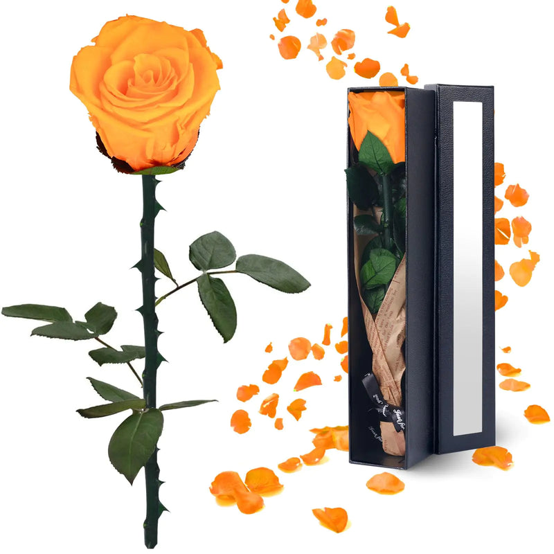 YAMPP Preserved Flowers Gifts for Women: Christmas Mothers Day Birthday Anniversary Wedding Gift for Mom Girlfriend Wife Grandma