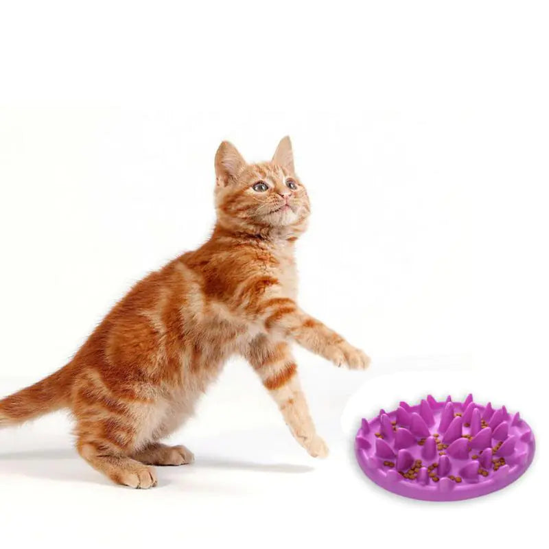 Silicone Non-Slip Pet Bowl for Dogs and Cats