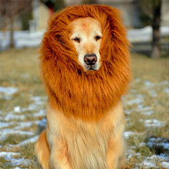 Pet Wig - Lion Head Costume for Dogs