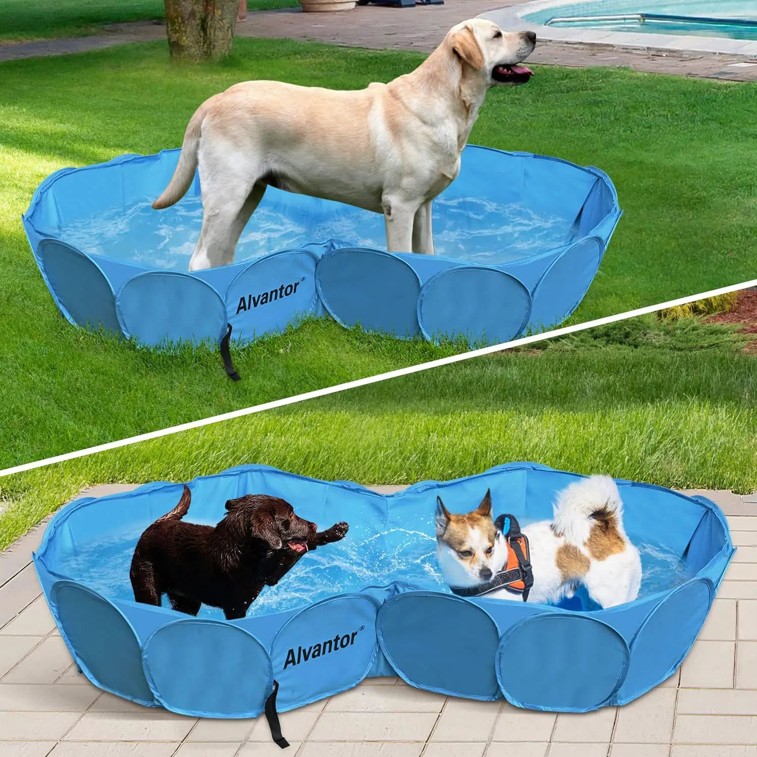 Alvantor Pet Double Swimming Pool Dog Bathing Tub Hard Plastic Pools Cat Puppy Shower Spa Foldable Portable Indoor Outdoor Pond Ball Pit 63"x35"x12" Patent Pending