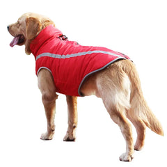 windproof pet jacket