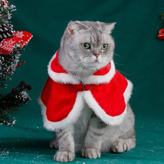 Cat red Christmas cloak