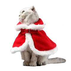 Cat red Christmas cloak