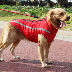 windproof pet jacket