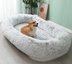 Removable Dog Bed