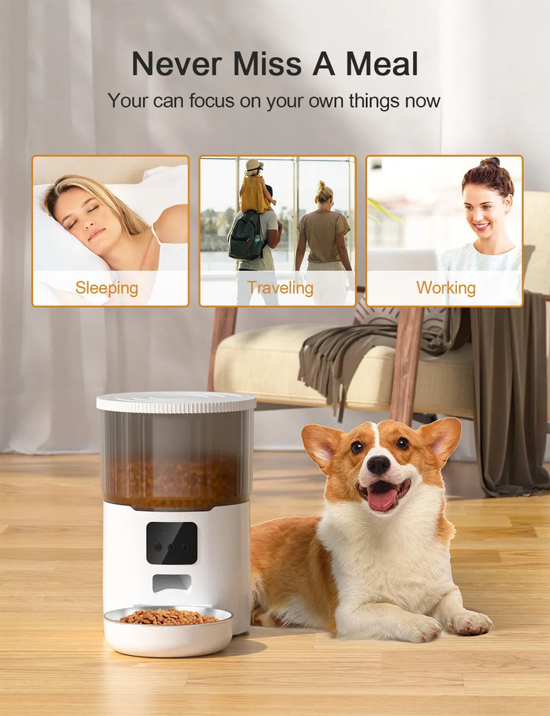 Automatic Pet Feeder