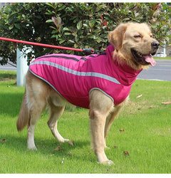 windproof pet jacket