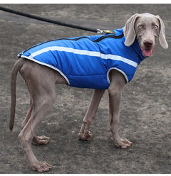 windproof pet jacket