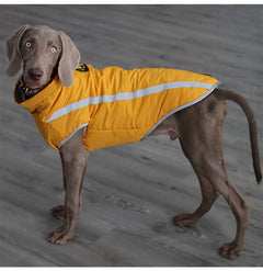 windproof pet jacket