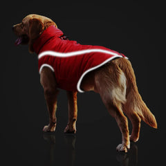 windproof pet jacket