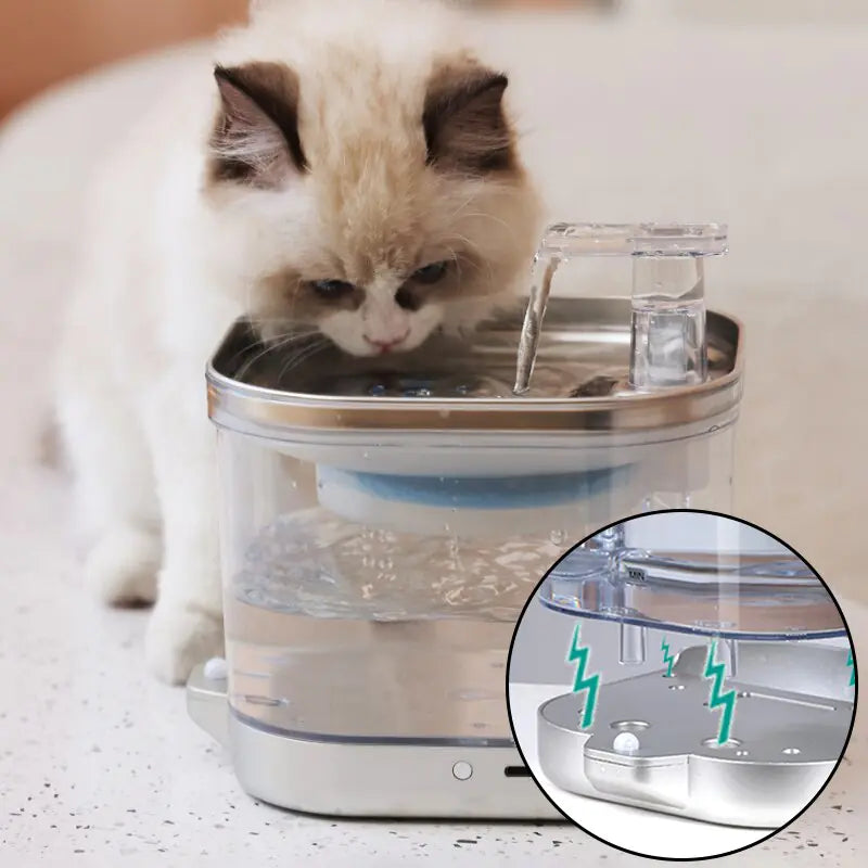 Cat Water Fountain